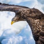 Bikos Tekatis kullanıcısının profil fotoğrafı