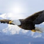 haydar kullanıcısının profil fotoğrafı