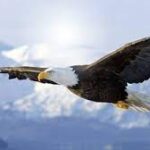 Sami Tekin kullanıcısının profil fotoğrafı